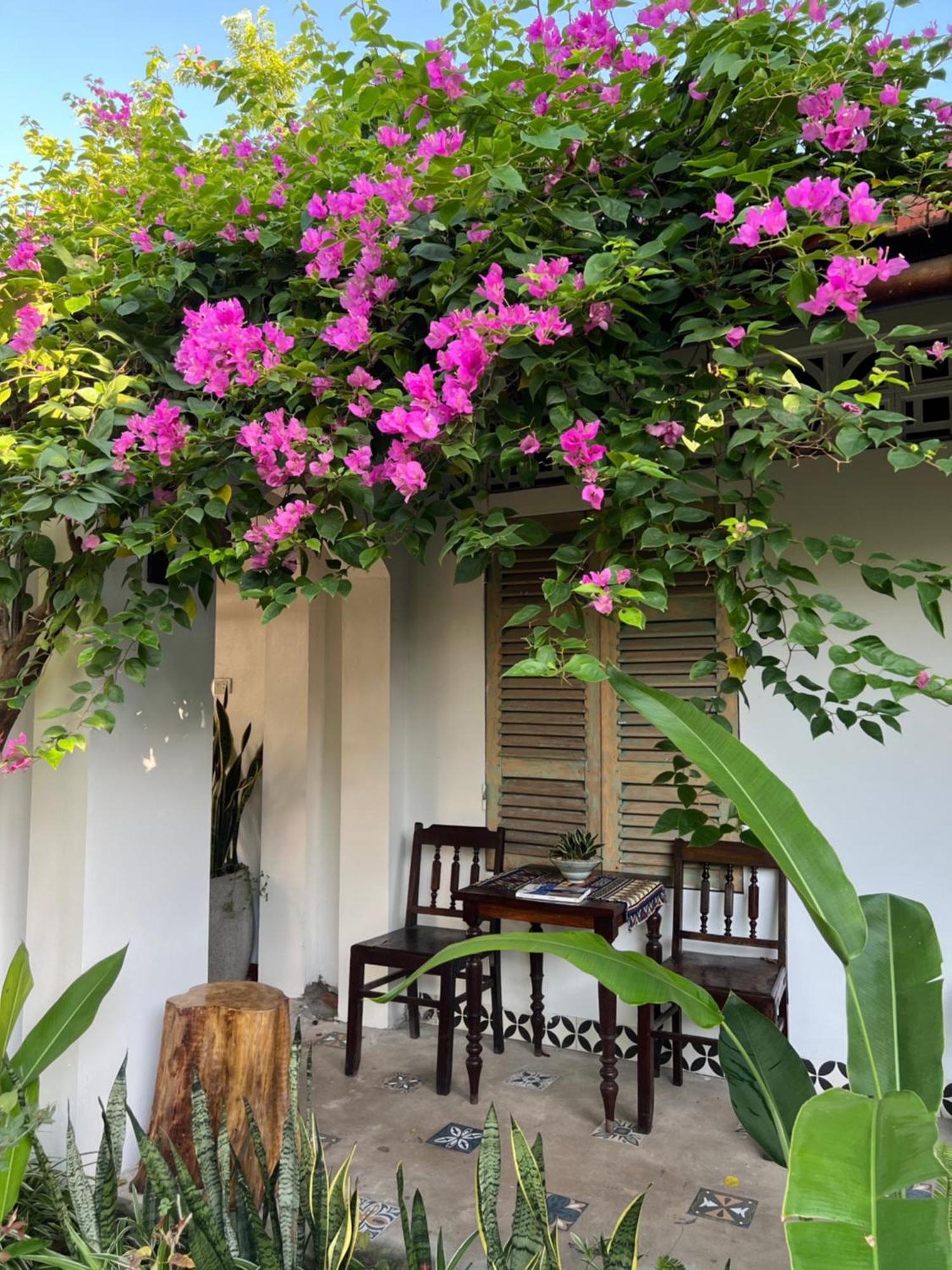 فندق Thom'S House نينه بينه المظهر الخارجي الصورة