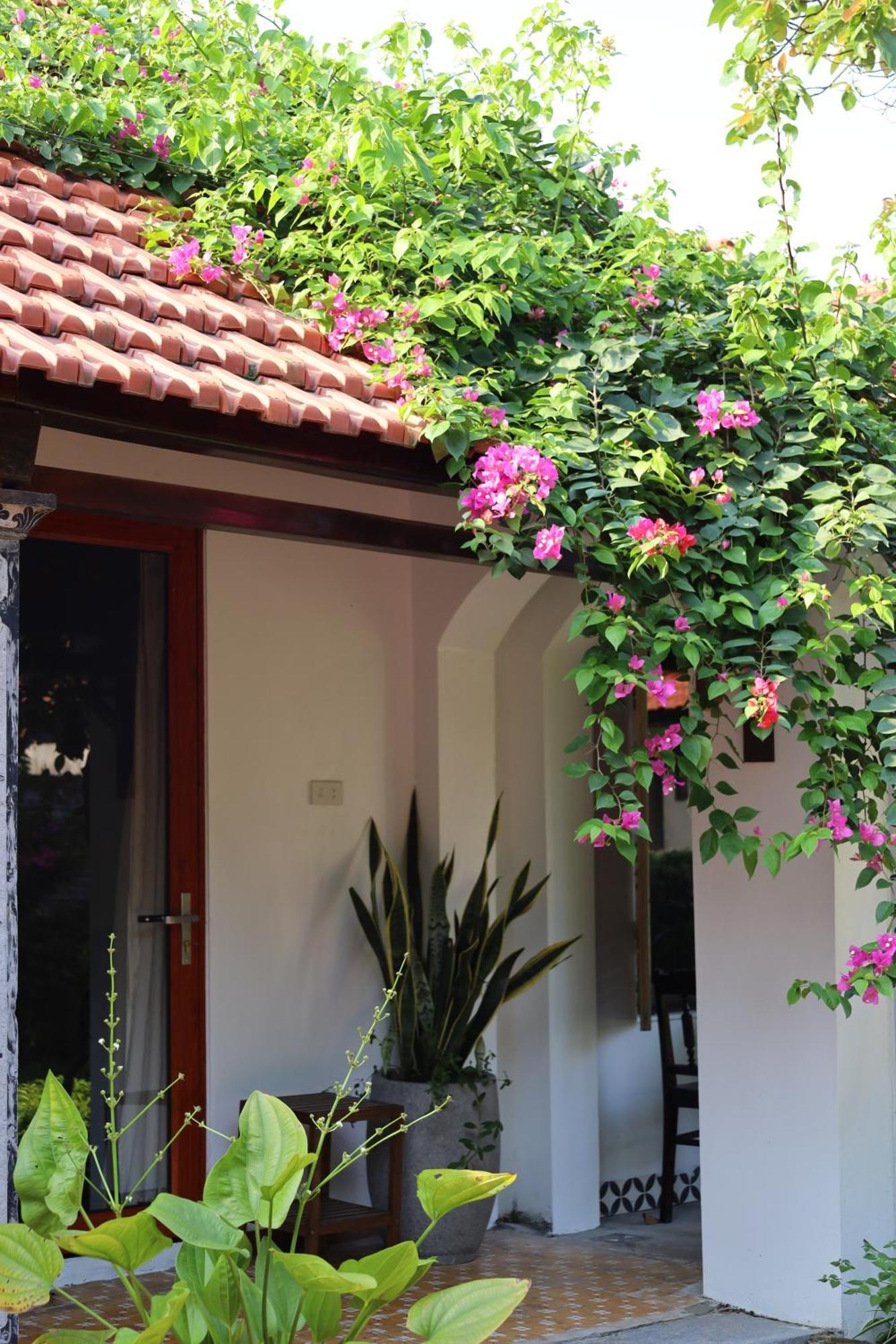 فندق Thom'S House نينه بينه المظهر الخارجي الصورة